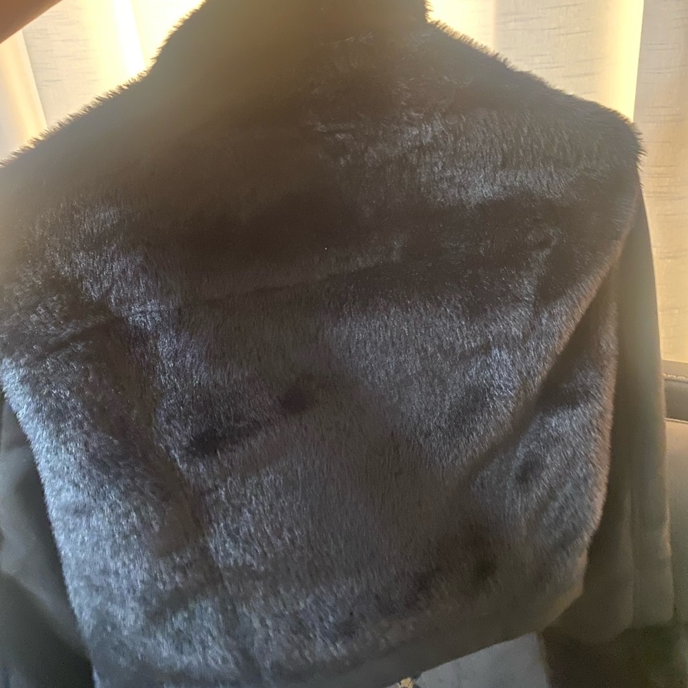Fur jacket from express